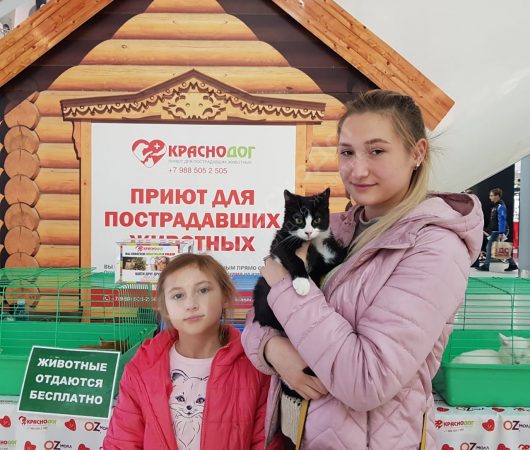 Выставка в ТЦ OZ Молл 02-03 ноября.